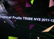 Tropical Fruits TRIBE NYE Festival 2011