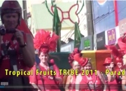 Tropical Fruits Tribe Parade